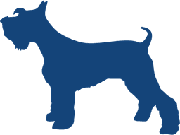 Pet Shop Blue